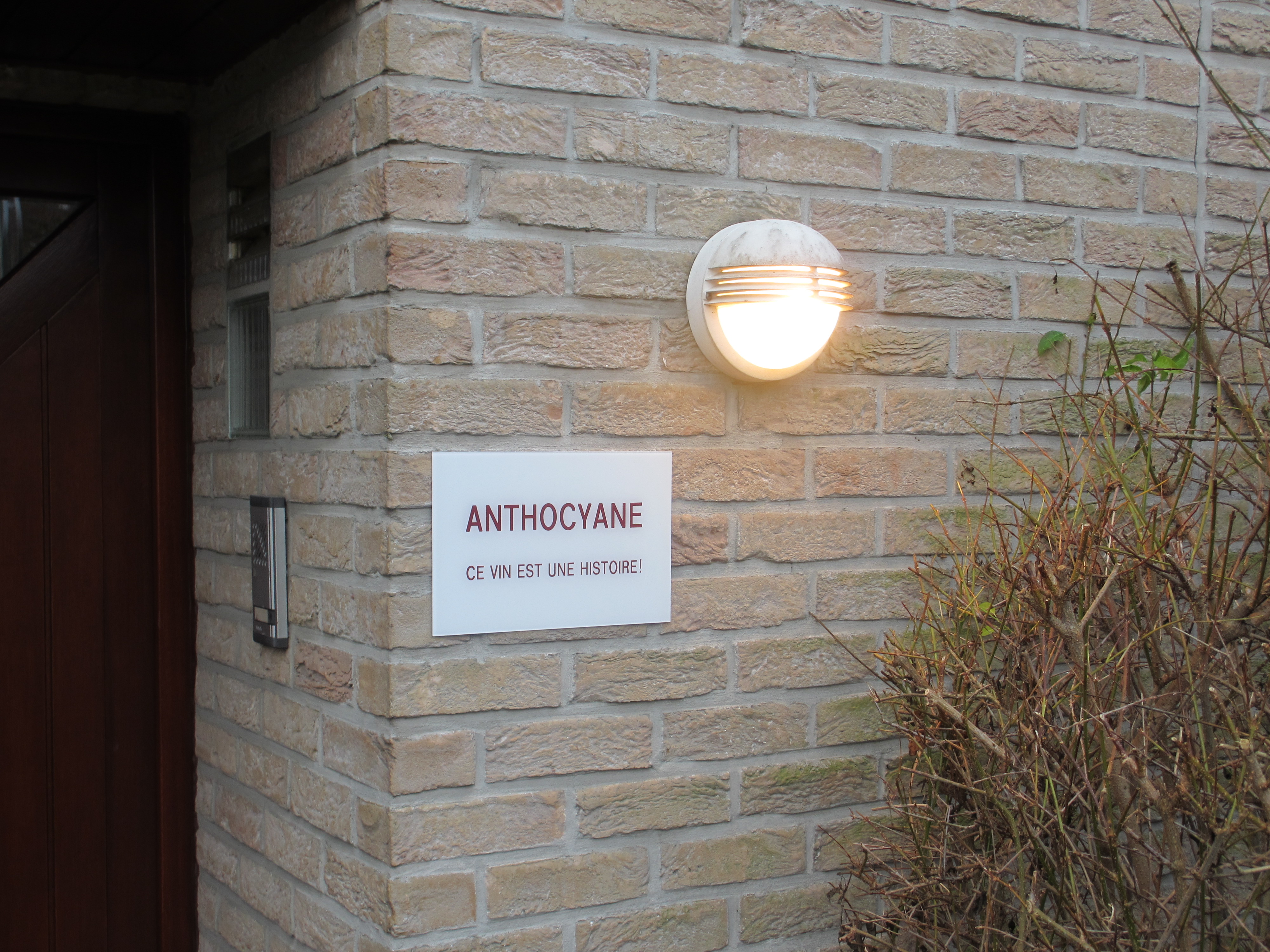 Anthocyane