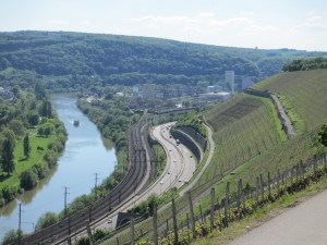 Le vignoble du Stein (Würzburg, Franconie, Allemagne, en bord de Main)
